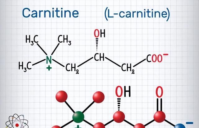 左旋肉碱真的是一种没用的补剂吗？