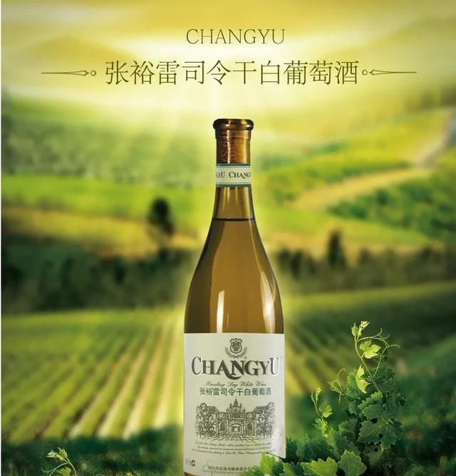 什么葡萄酒好喝(什么葡萄酒好喝文案简短)图10