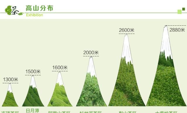 台湾梨山茶好喝吗图2