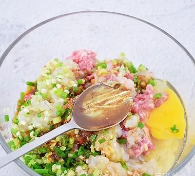 网红美食我来做 鲜虾猪肉馄饨