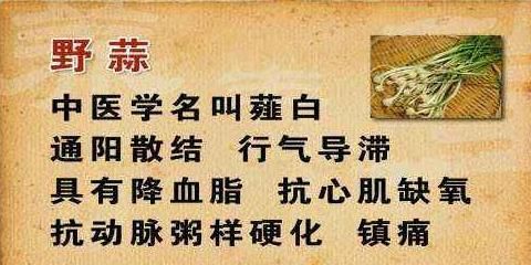 这种菜被中医称为专通寒滞的助阳佳品，是治疗胸闷心痛的常用药