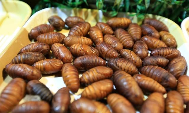 蚕蛹虽卖相不好，这5大营养价值，一般的食物都比不上