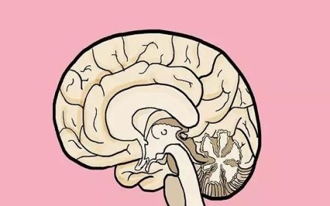 记忆力下降怎么办