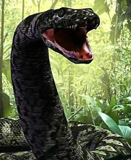目前世界上最长的蛇有多长,世界上最长的蛇有多长动画图5