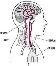 为什么早上起床头会晕恶心图4