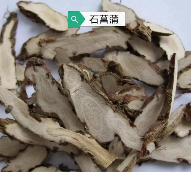 中药古今研究：石菖蒲