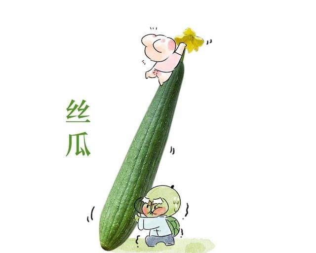 夏天好用瓜是它！内服活血通络祛风，外用补水美白祛皱