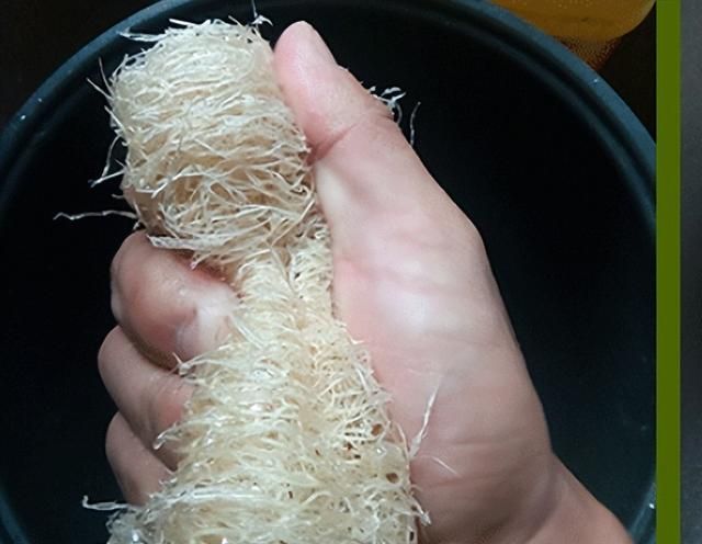 夏天好用瓜是它！内服活血通络祛风，外用补水美白祛皱