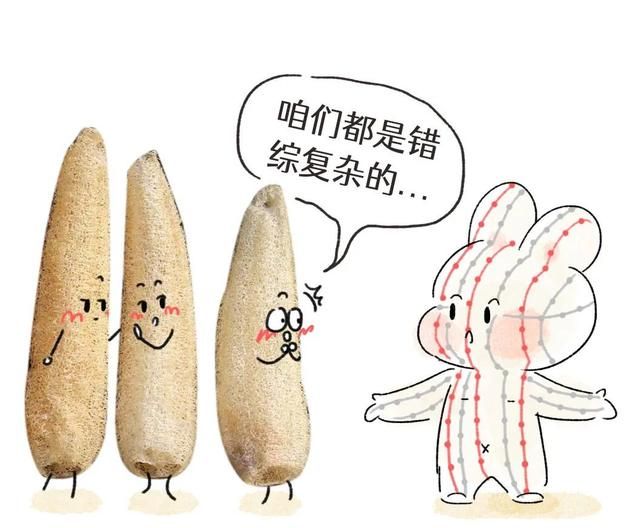 夏天好用瓜是它！内服活血通络祛风，外用补水美白祛皱