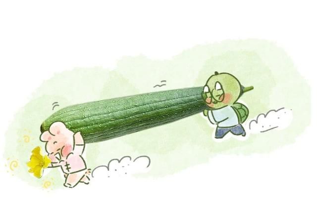夏天好用瓜是它！内服活血通络祛风，外用补水美白祛皱