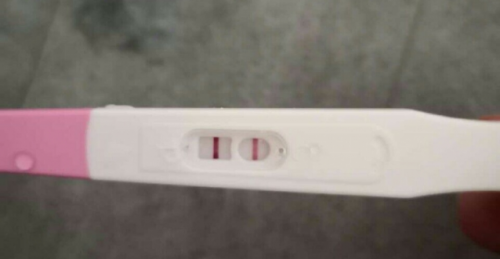 分享备孕心得：萝卜排卵半定量排卵试纸测量更准确