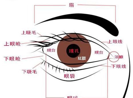 关于虹膜识别技术 你对虹膜识别的了解到底有多少呢？