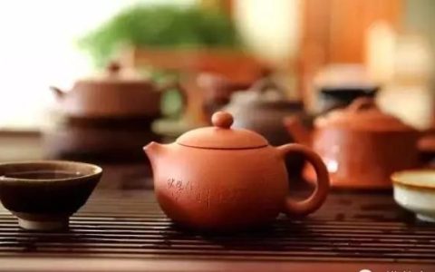 吃药可以喝茶吗(吃药可以喝茶吗会影响药效吗)
