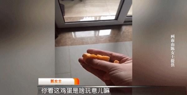 高价买的“虫草鸡蛋”煮熟后像弹球？女子越想越后怕