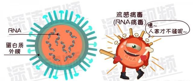 流感流行季节该如何正确防流感病毒图4