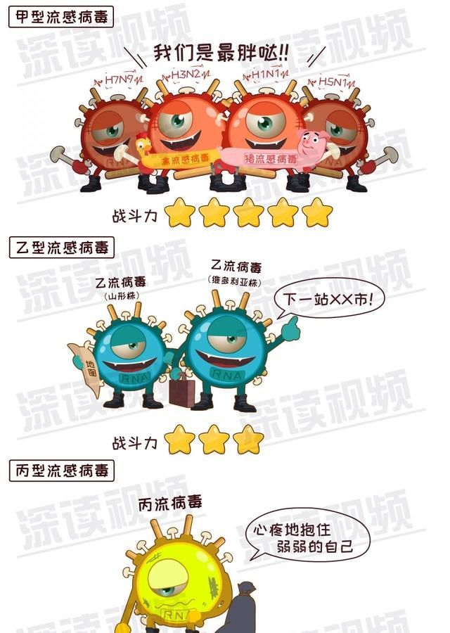 流感流行季节该如何正确防流感病毒图5