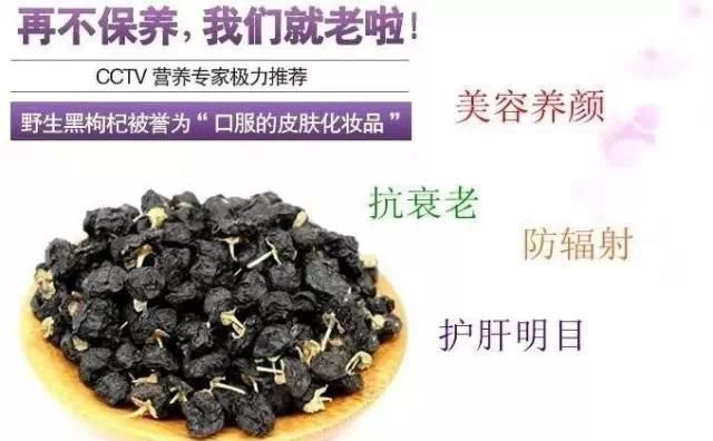 健康特产之黑枸杞正确的吃法