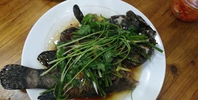 家庭式最简单的清蒸石斑鱼，大酒店的味道，皮嫩肉滑，味道鲜美