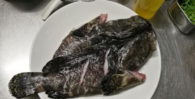 家庭式最简单的清蒸石斑鱼，大酒店的味道，皮嫩肉滑，味道鲜美