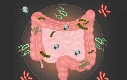 大肠杆菌超标怎么办,大肠杆菌超标 危害图2