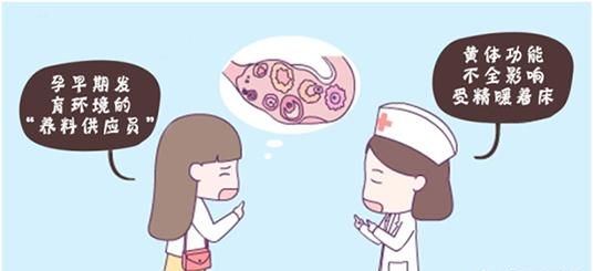 打黄体酮有什么作用,怀孕打黄体酮注射液的作用与功效图3