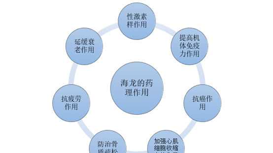 海龙种类及产地分布、药理作用及市场价格走势分析
