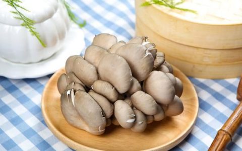 有什么食物可以散结