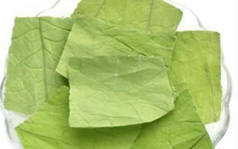 炎夏荷叶有什么功效