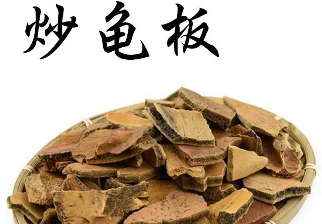 《本草精荟》：滋阴潜阳：龟甲的功效与应用