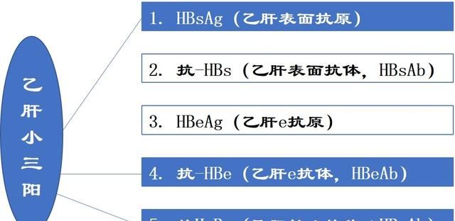 乙肝小三阳可以治好吗?应该如何治疗呢图5