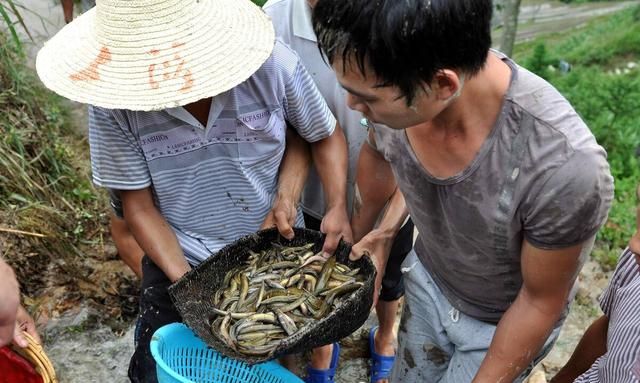 荸荠生吃有风险吗？食物生吃比熟吃更营养？听听专家怎么说