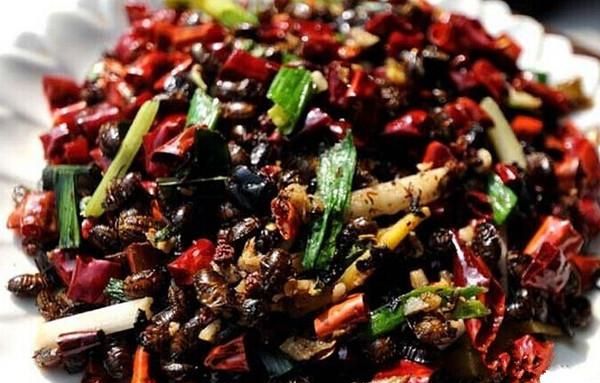 “有钱人吃鹿茸，没钱人吃屁巴虫”，没想到它竟有如此强大的功效