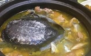 甲鱼乌鸡汤能不能吃,甲鱼炖乌鸡不能与什么同吃图1
