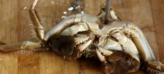 螃蟹最极致的吃法是什么图9