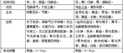 看图识药 | 茅根甘蔗水中的茅根，到底有何功效？