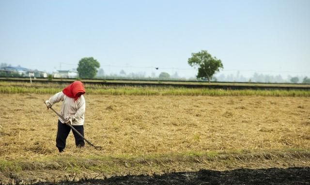 袁隆平谈论转基因，研究证实：转基因食品对人体无害，可以放心吃