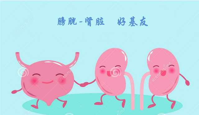 讲一味核桃仁，强腰膝、温肾阳、止咳喘，好吃又好用，养身又养颜