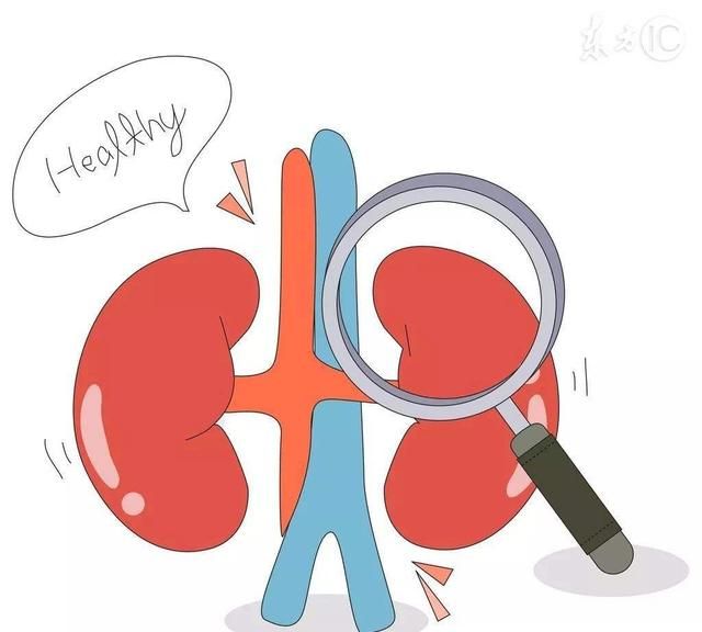 讲一味核桃仁，强腰膝、温肾阳、止咳喘，好吃又好用，养身又养颜