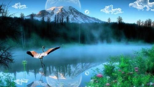什么是自然数,什么是自然人和非自然人图2