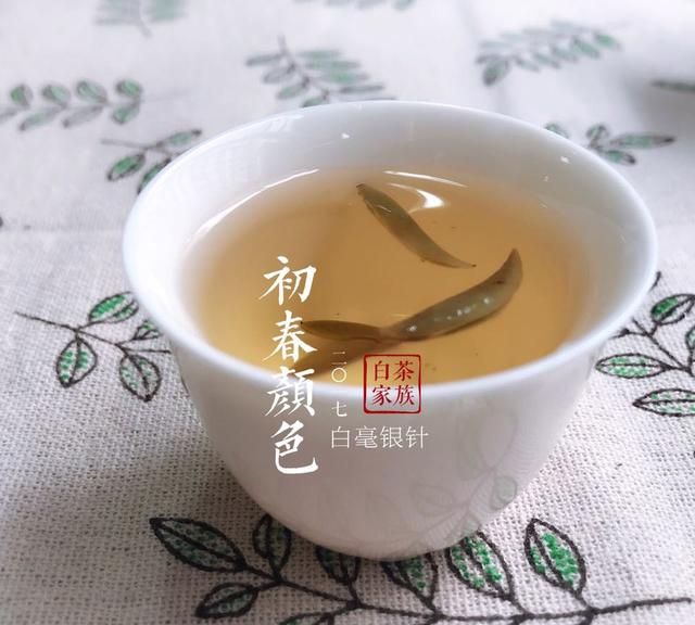 白茶的5大功效和作用