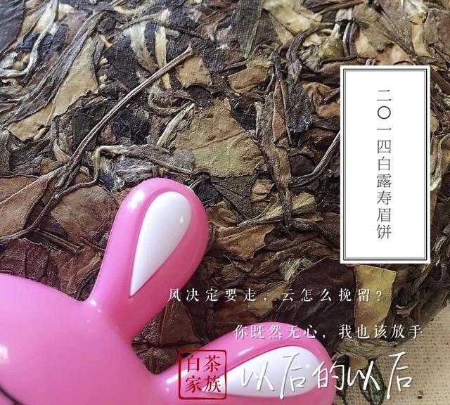 白茶的5大功效和作用