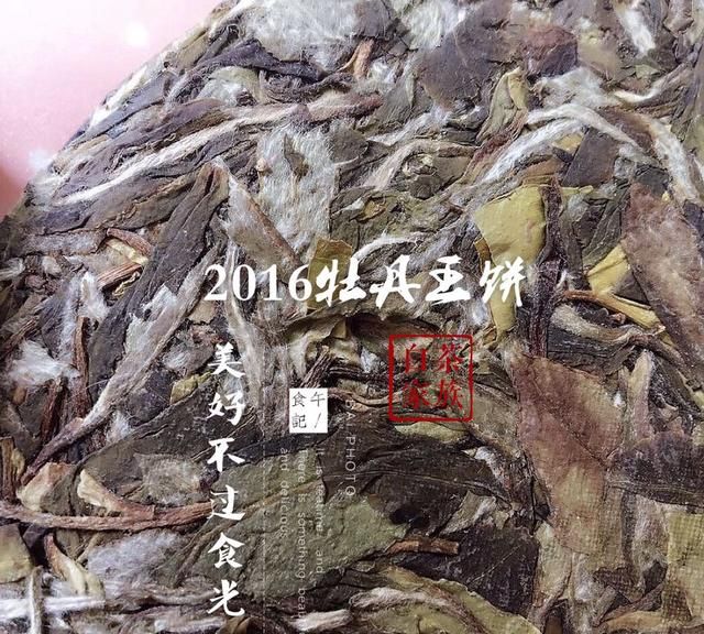 白茶的5大功效和作用
