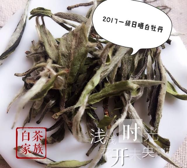 白茶的5大功效和作用