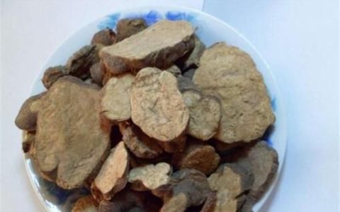 自挖的何首乌怎么吃,刚挖的何首乌怎么食用