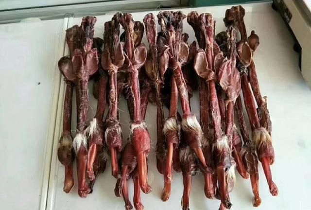 人免疫力下降怎么办呢,人的免疫力下降补什么最快图5