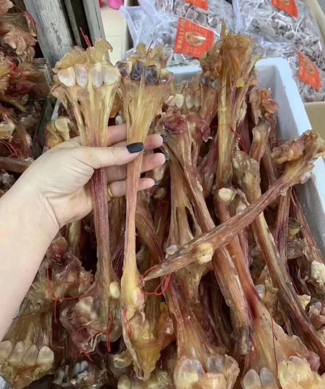 人免疫力下降怎么办呢,人的免疫力下降补什么最快图6
