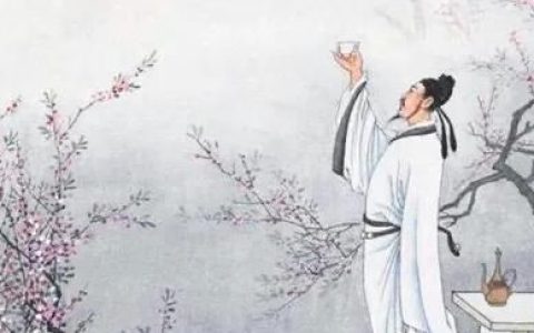 辛弃疾的静夜思巧用25味中药,辛弃疾暗藏25种中药的词