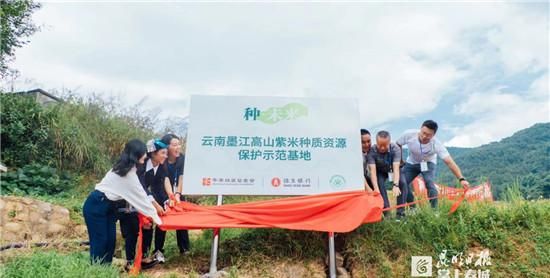 云南大山里，有群人在“种·未来”