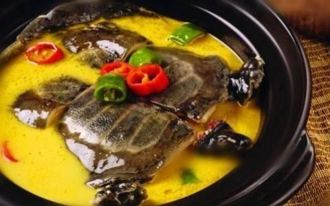甲鱼鸡黄芪炖汤有何功效(黄芪枸杞甲鱼煲汤的功效)