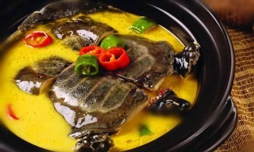 甲鱼鸡黄芪炖汤有何功效(黄芪枸杞甲鱼煲汤的功效)图1
